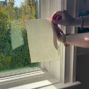 🔥Last 4 hours Sale: Save 50% -Sun Catcher Sticker