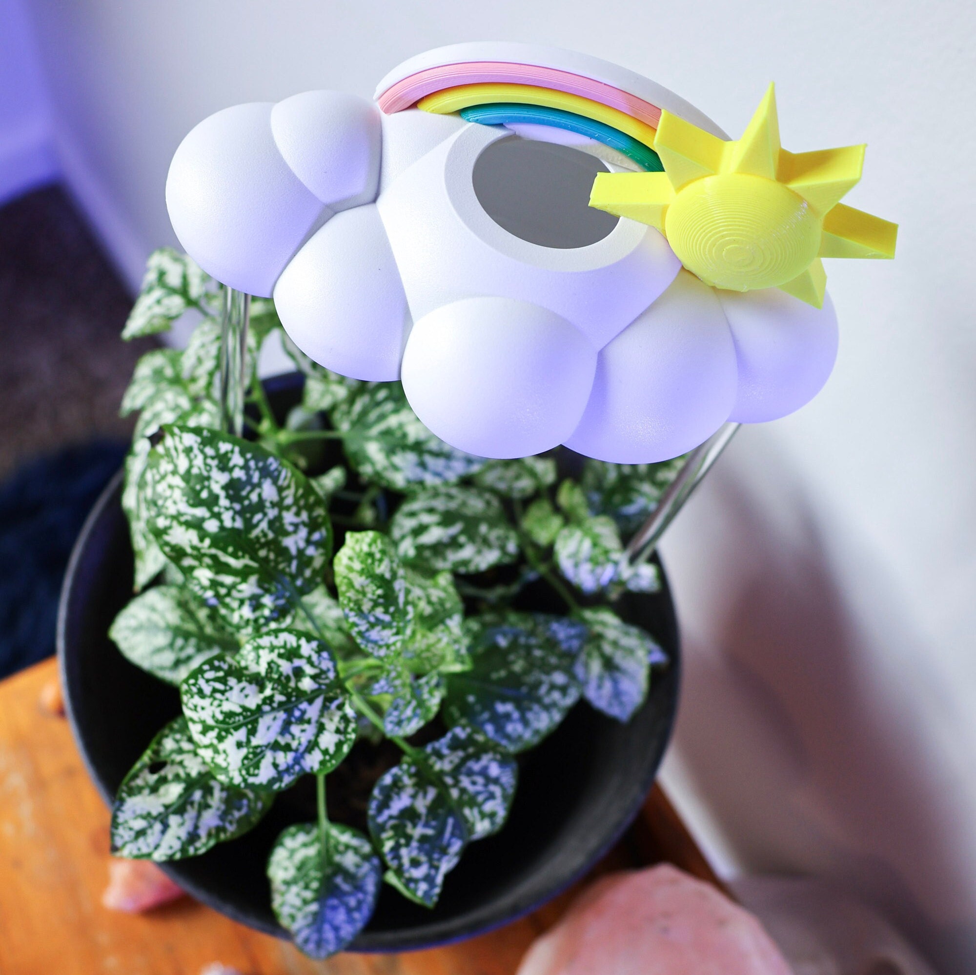 Original Dripping Rain Cloud for Plants with Sun and Pastel Rainbow Charms