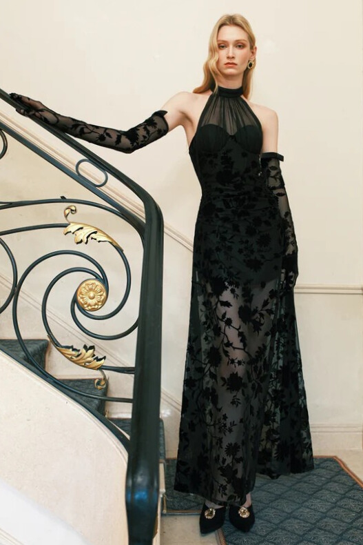 Ivona Halterneck Floral Mesh Dress In Black