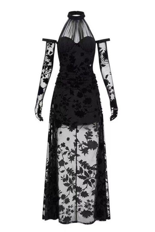 Ivona Halterneck Floral Mesh Dress In Black