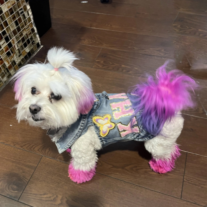 Personalized Hand Patch Pets Denim Jacket for Comfort and Unique