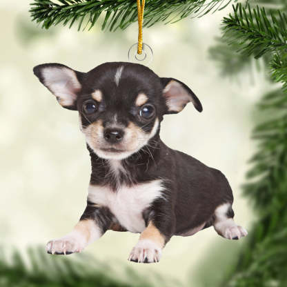 Family Custom Acrylic Photo Ornament-There’s No Place Like Home For The Holidays