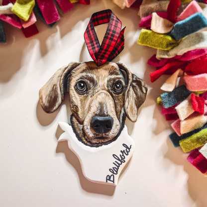 Custom Pet Portrait Ornament