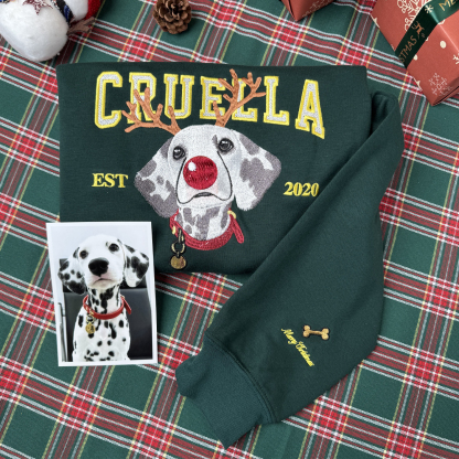 Customized Pet Face Pattern Christmas Reindeer Embroidered Sweatshirt/Hoodie