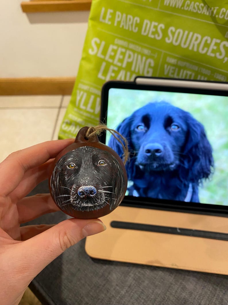Custom Handpainted Pet Christmas Bauble