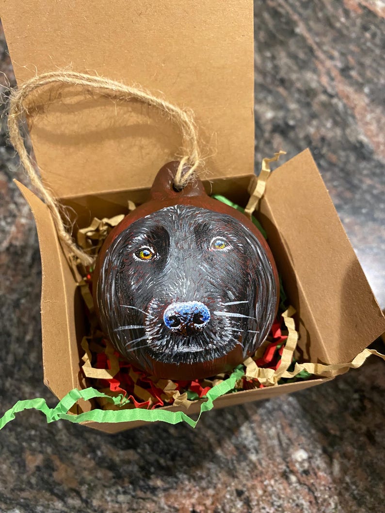 Custom Handpainted Pet Christmas Bauble