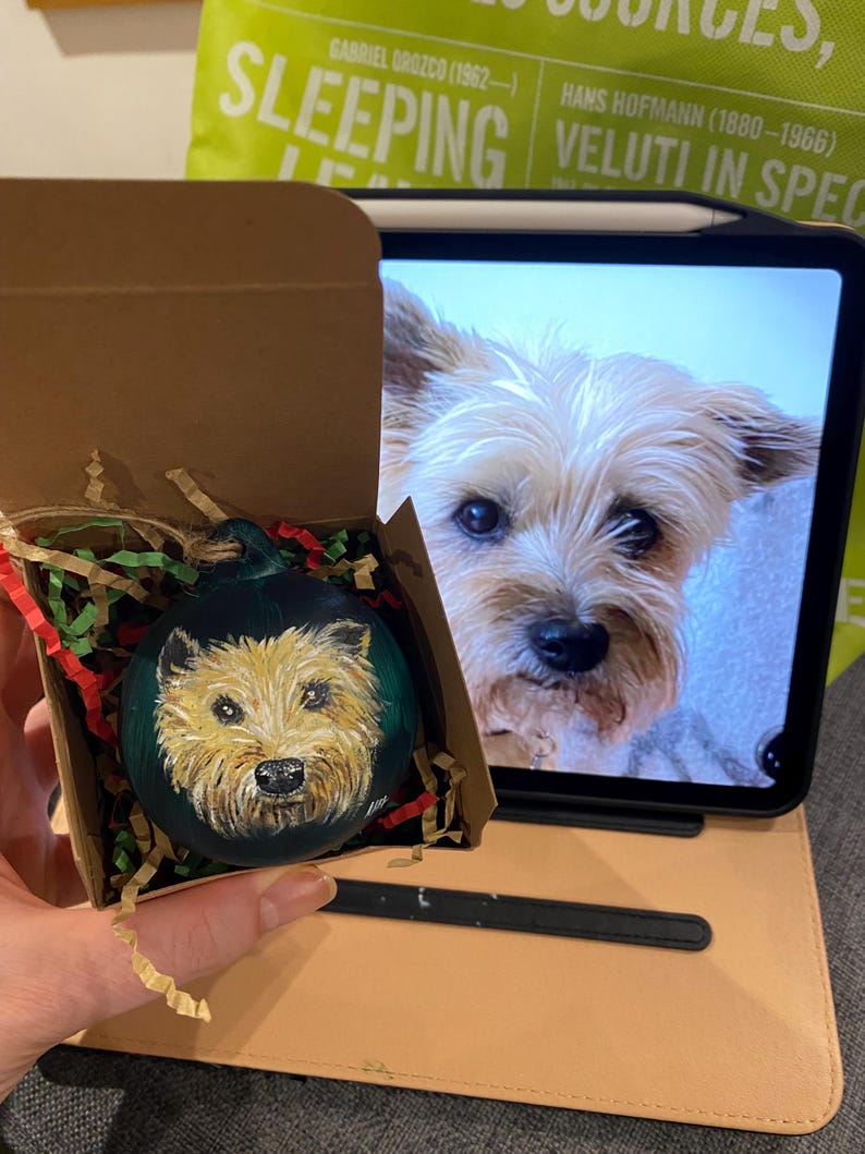 Custom Handpainted Pet Christmas Bauble