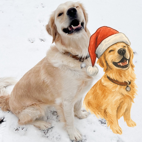 Custom Watercolor Pet Santa Crewneck