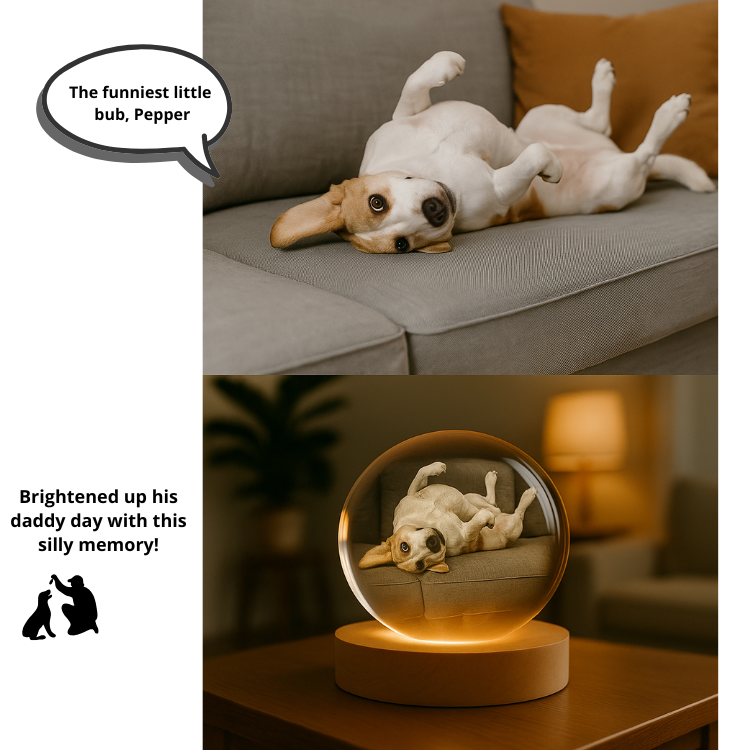 Custom Pet 3D Spherical Crystal Lamp