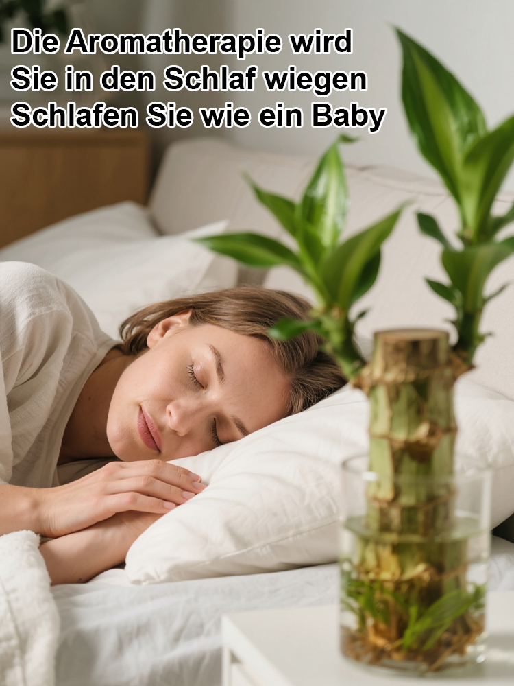 Wassergezogene brasilianische Glückspflanze, blüht das ganze Jahr über