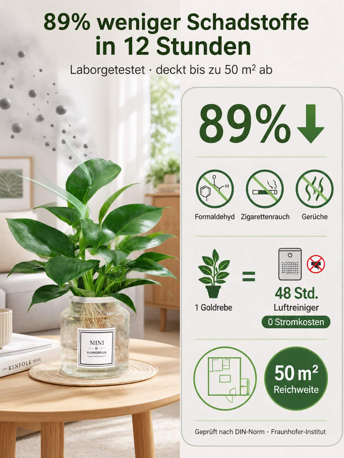 Wunder-Goldranke: 0€ Luftreiniger, 100% Tierfreundlich & wächst 3 Monate ohne Wasser!