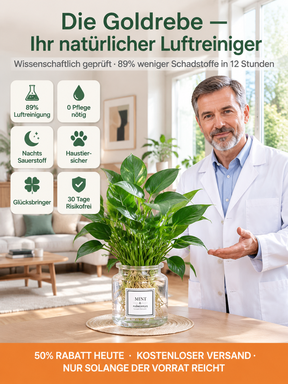 Wunder-Goldranke: 0€ Luftreiniger, 100% Tierfreundlich & wächst 3 Monate ohne Wasser!