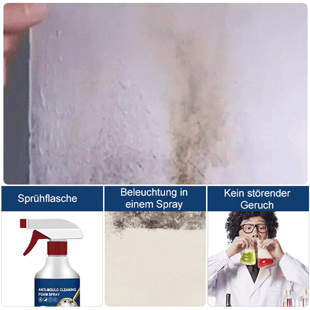 Schaumreinigungs- und Schimmelpilzentfernungsspray