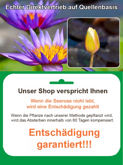 Bodenlose hydroponische mehrfarbige Seerosen-Samen