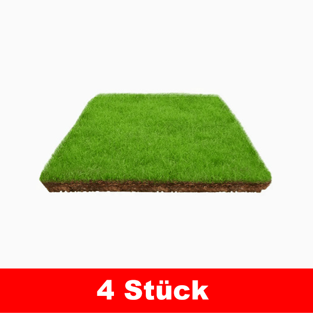 7 Tage Keimung Rasensamen