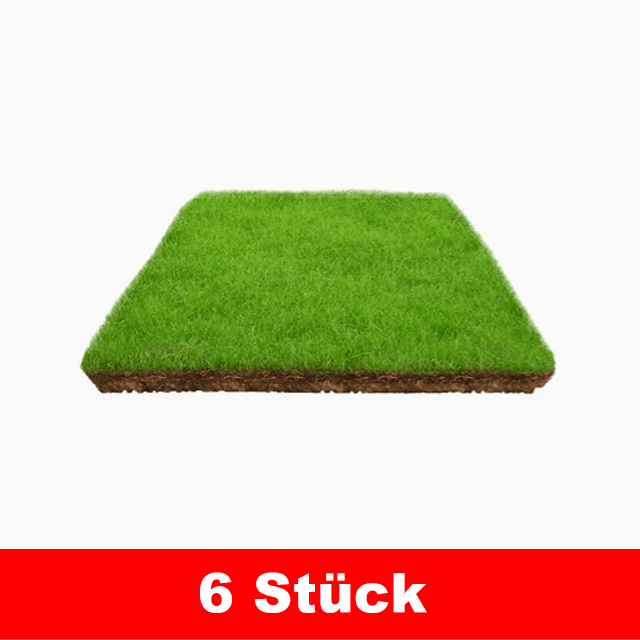 7 Tage Keimung Rasensamen