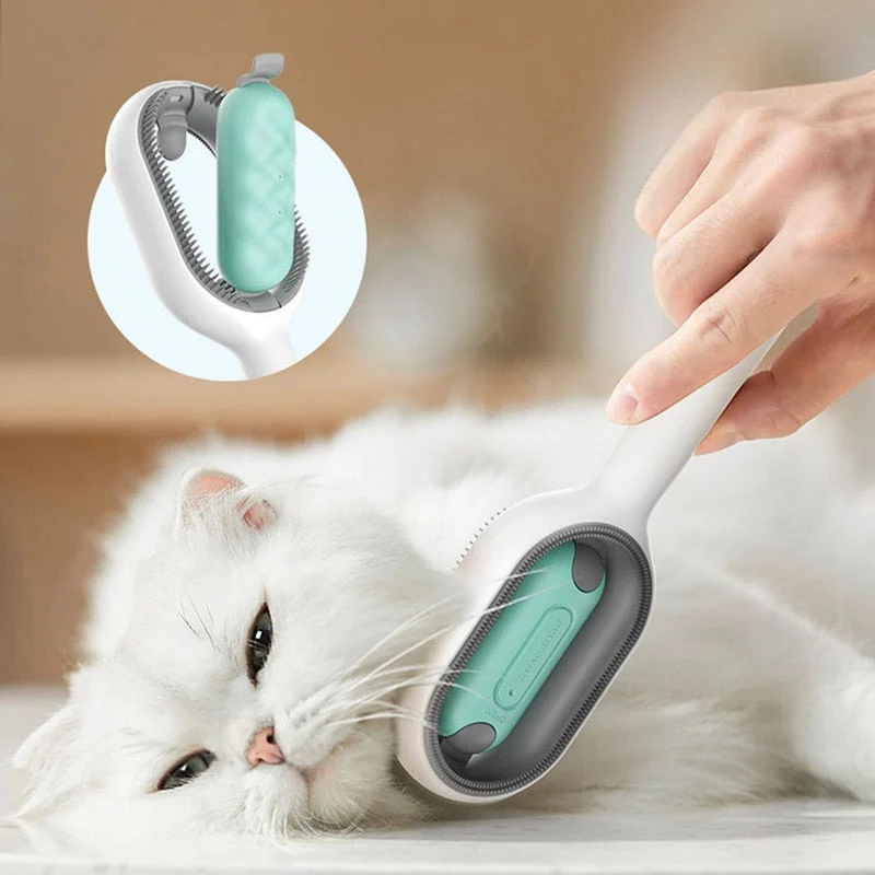 Cleaning Pet Hair