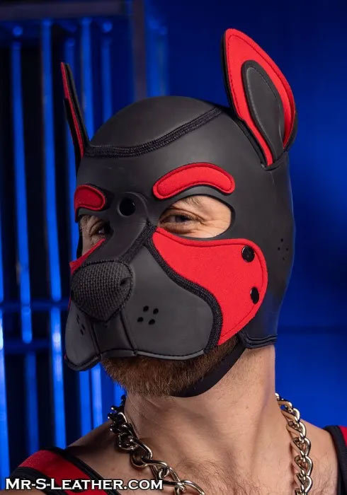 Neoprene FRISKY Puppy Hood | Small or Extra Large