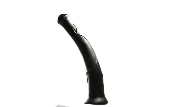 Fuck Muscle Black Beauty Horse Dildo 15.5 Inches | UberKinky