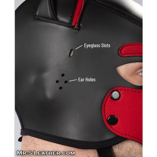 Build Your Own Neoprene K9 Hood: