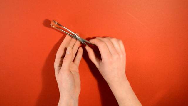 Uberkinky Young Forceps (Pair) | UberKinky