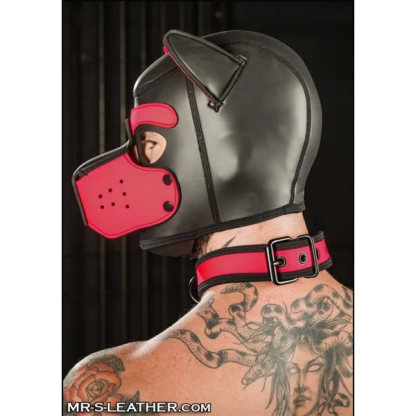 Mr S Leather NEO Puppy Collar Pink