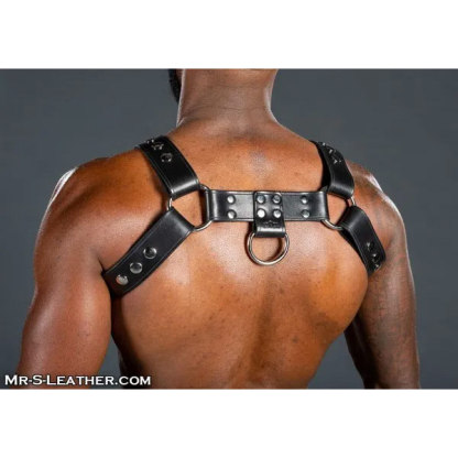 Mr. S Leather Bulldog Harness | Black