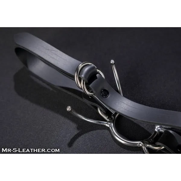 Mr.S Leather Spyder Gag