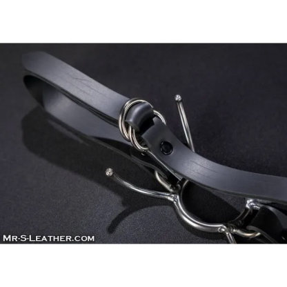 Mr.S Leather Spyder Gag