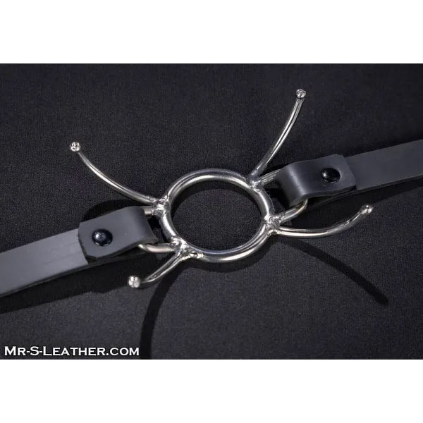 Mr.S Leather Spyder Gag