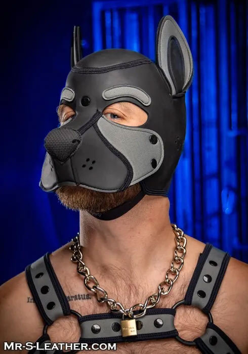 Neoprene FRISKY Puppy Hood | Small or Extra Large