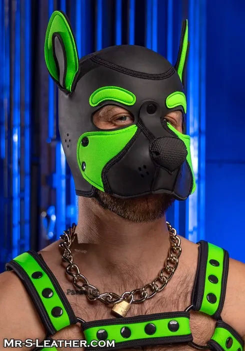 Neoprene FRISKY Puppy Hood | Small or Extra Large