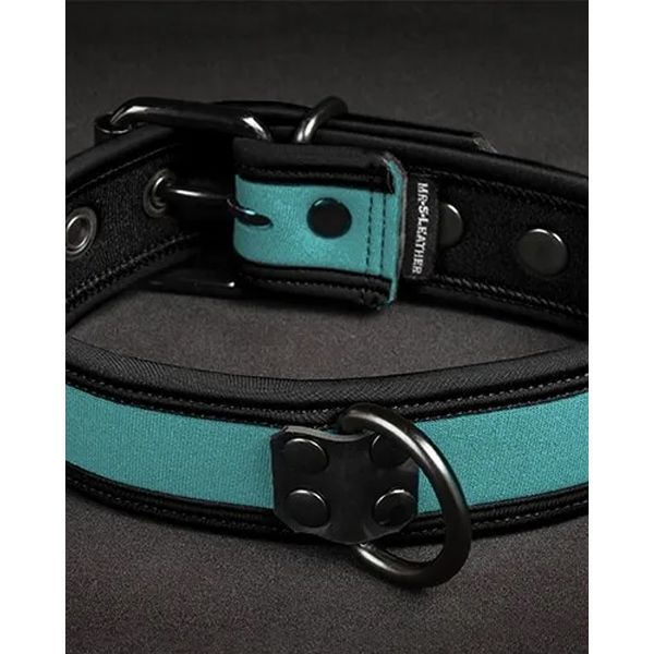 Mr. S Leather NEO Puppy Collar: Small to Large | Aqua