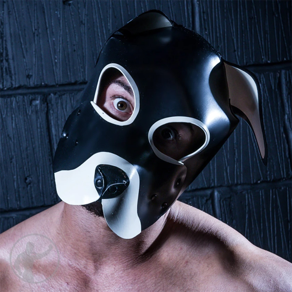 Invincible Rubber Pup Mask | Colour Options