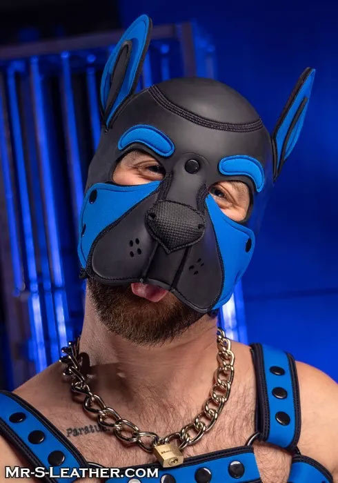 Neoprene FRISKY Puppy Hood | Small or Extra Large
