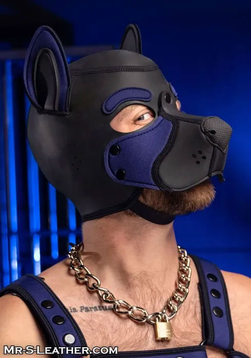 Neoprene FRISKY Puppy Hood | Small or Extra Large