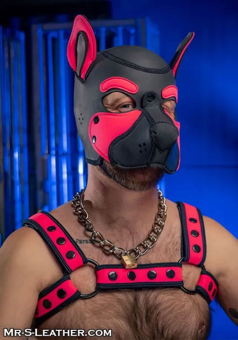 Neoprene FRISKY Puppy Hood | Small or Extra Large
