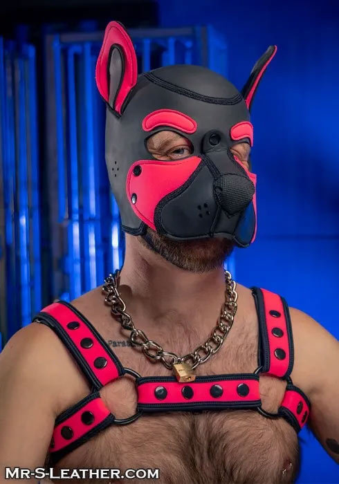 Neoprene FRISKY Puppy Hood | Small or Extra Large