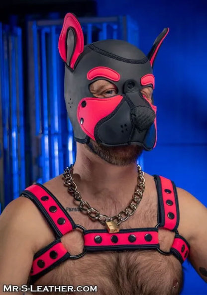 Neoprene FRISKY Puppy Hood | Small or Extra Large