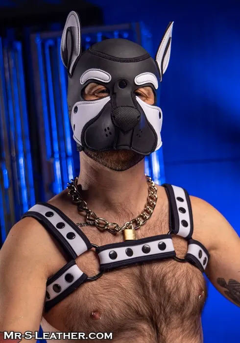 Neoprene FRISKY Puppy Hood | Small or Extra Large
