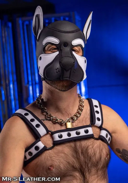 Neoprene FRISKY Puppy Hood | Small or Extra Large