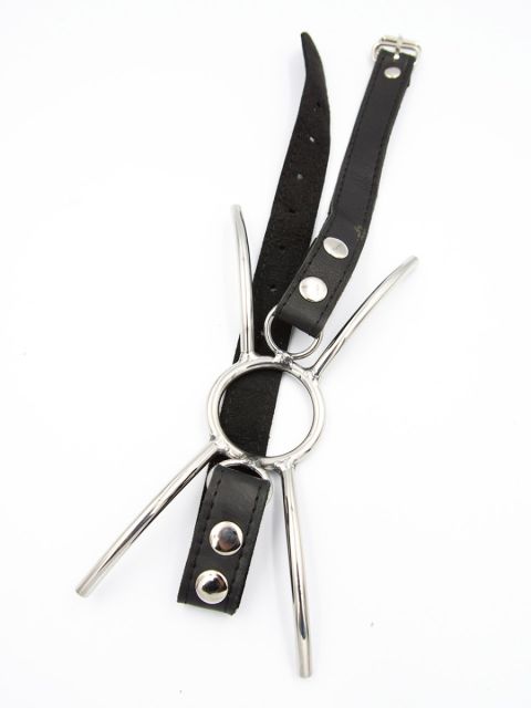 Mister B SPIDER Gag with Leather Strap