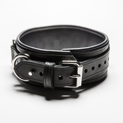 Mr S Leather LOCKING Collar by Fetters USA