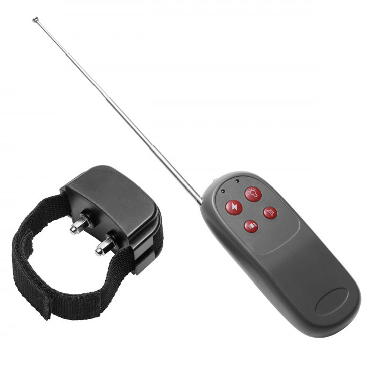 Master Series Cock Shock Remote Controlled Cock Ring | UberKinky
