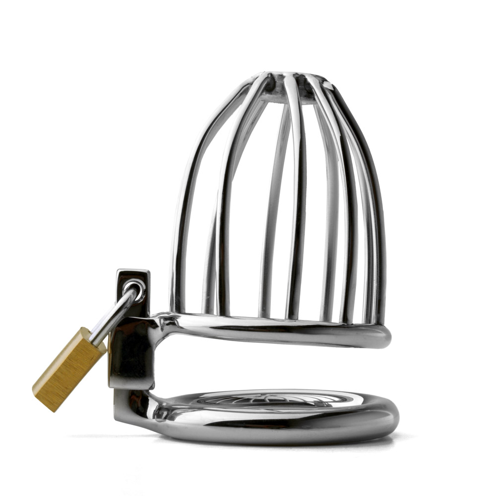 UberKinky Bird Cage Chastity Device 1