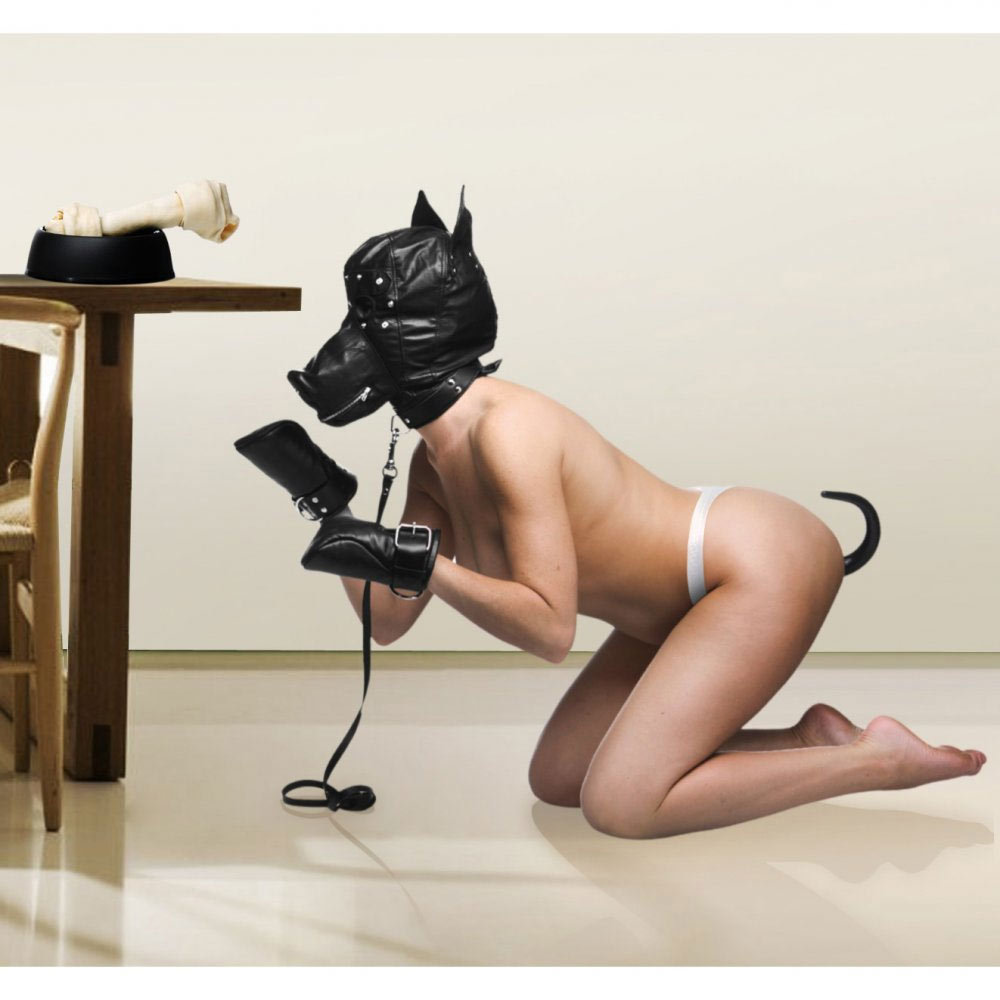 Master Series Deluxe Puppy Play Essentials Kit | UberKinky