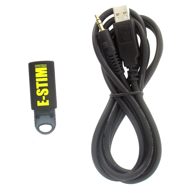 E-Stim Systems 2B Digital Link Interface* | UberKinky