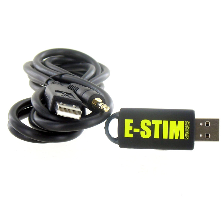 E-Stim Systems 2B Digital Link Interface* | UberKinky