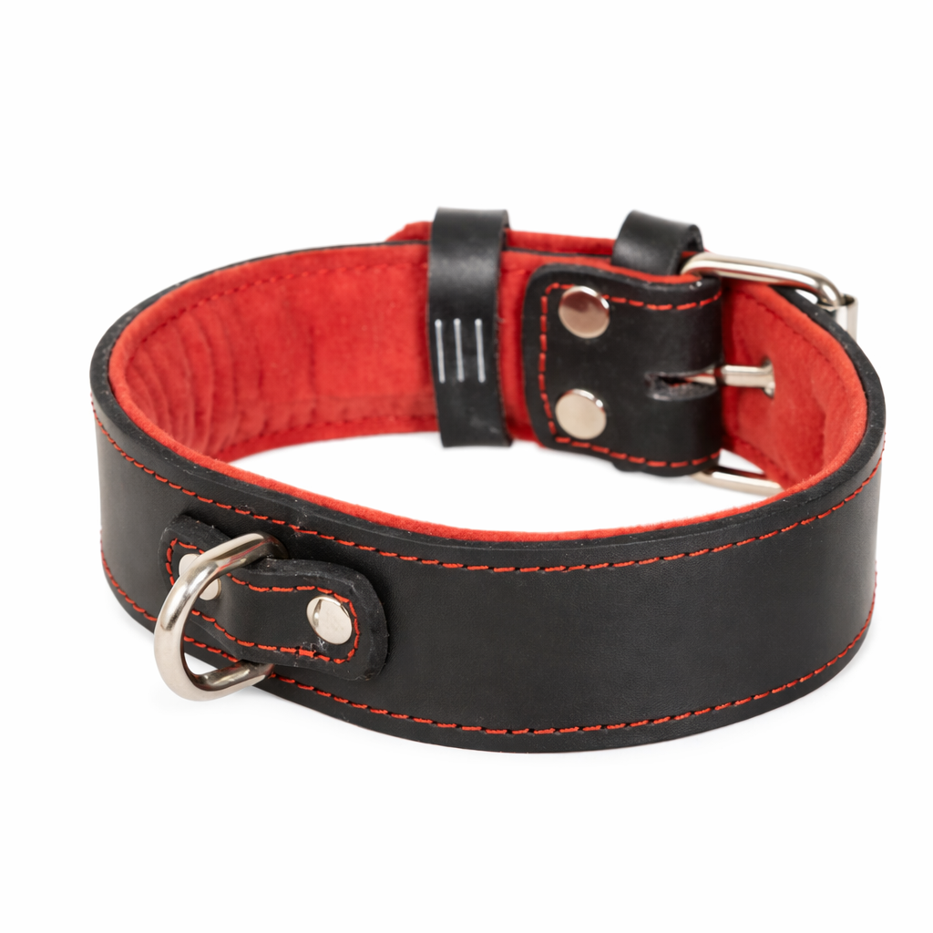 Leather Collar with Red Trim & D Ring