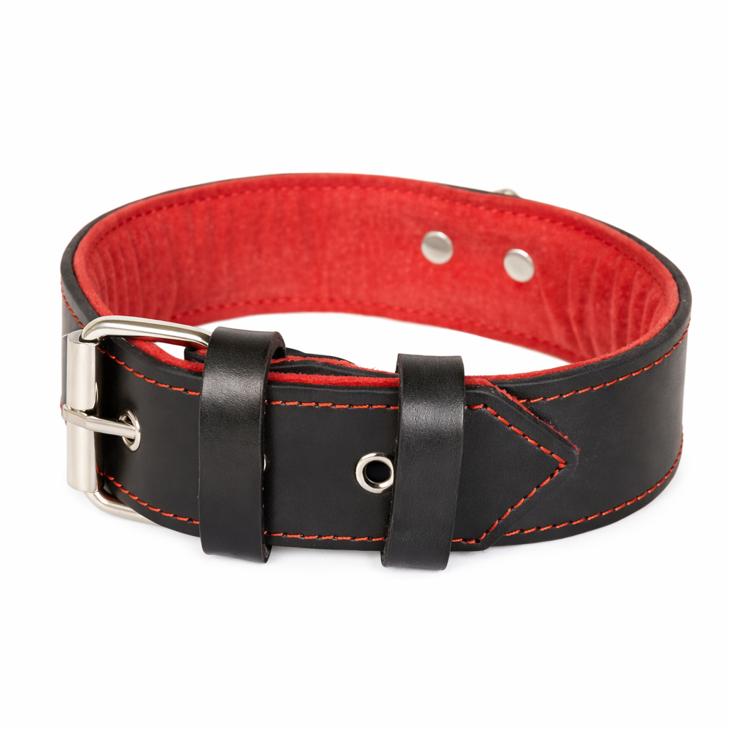 Leather Collar with Red Trim & D Ring